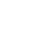 The Original David The Original David logo
